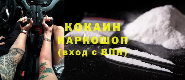 сатива Богданович