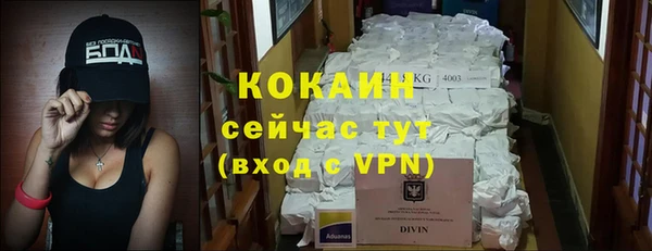 гидра Богородск
