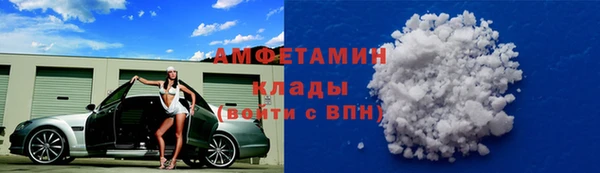 гидра Богородск