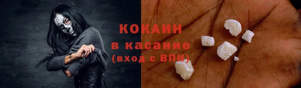 сатива Богданович