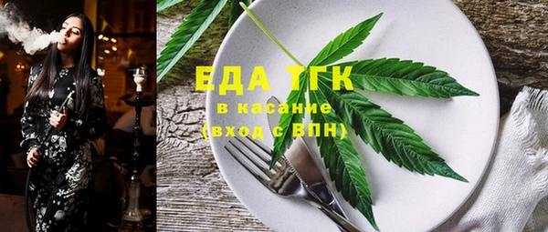 гидра Богородск