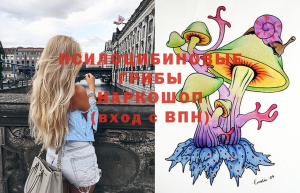 гидра Богородск