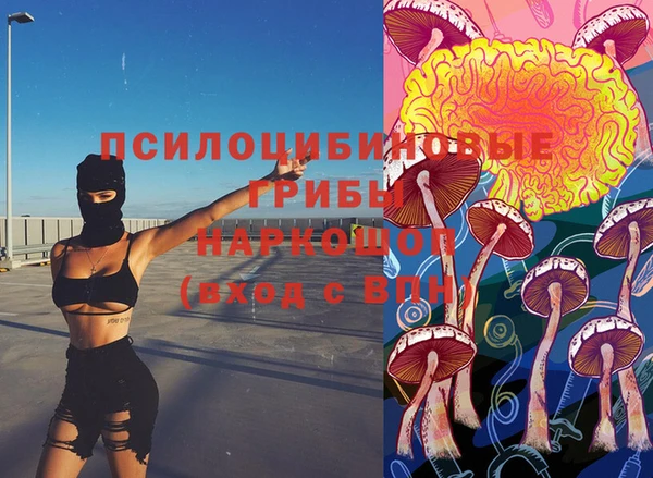 сатива Богданович