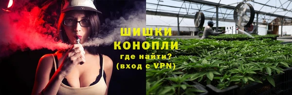 сатива Богданович