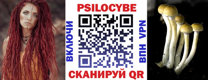 Купить закладки  Чекалин  Псилоцибиновые грибы мицелий 